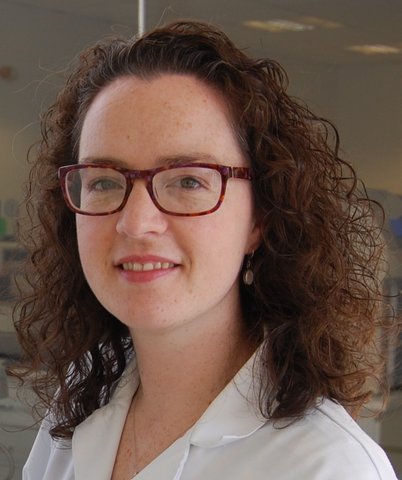 Dr Maeliosa McCrudden